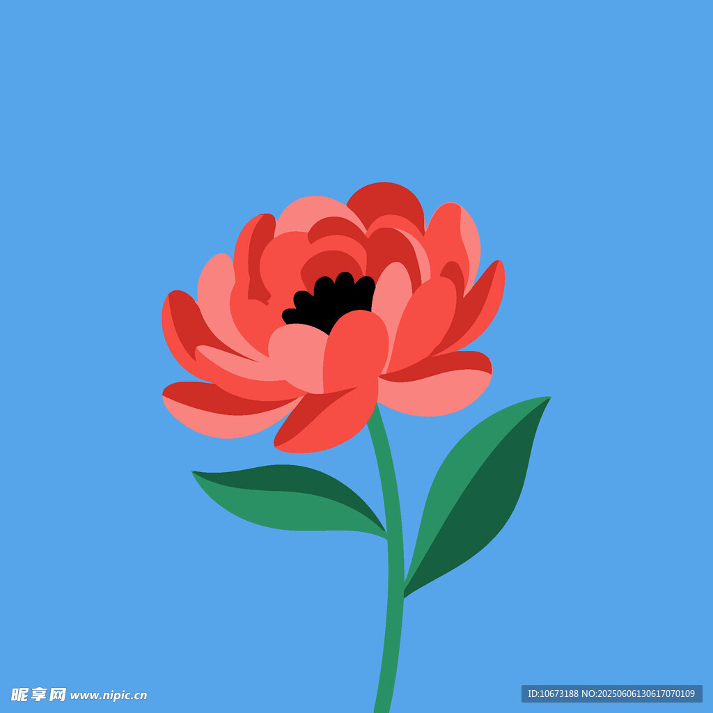 藍色背景上的鮮艷紅花朵