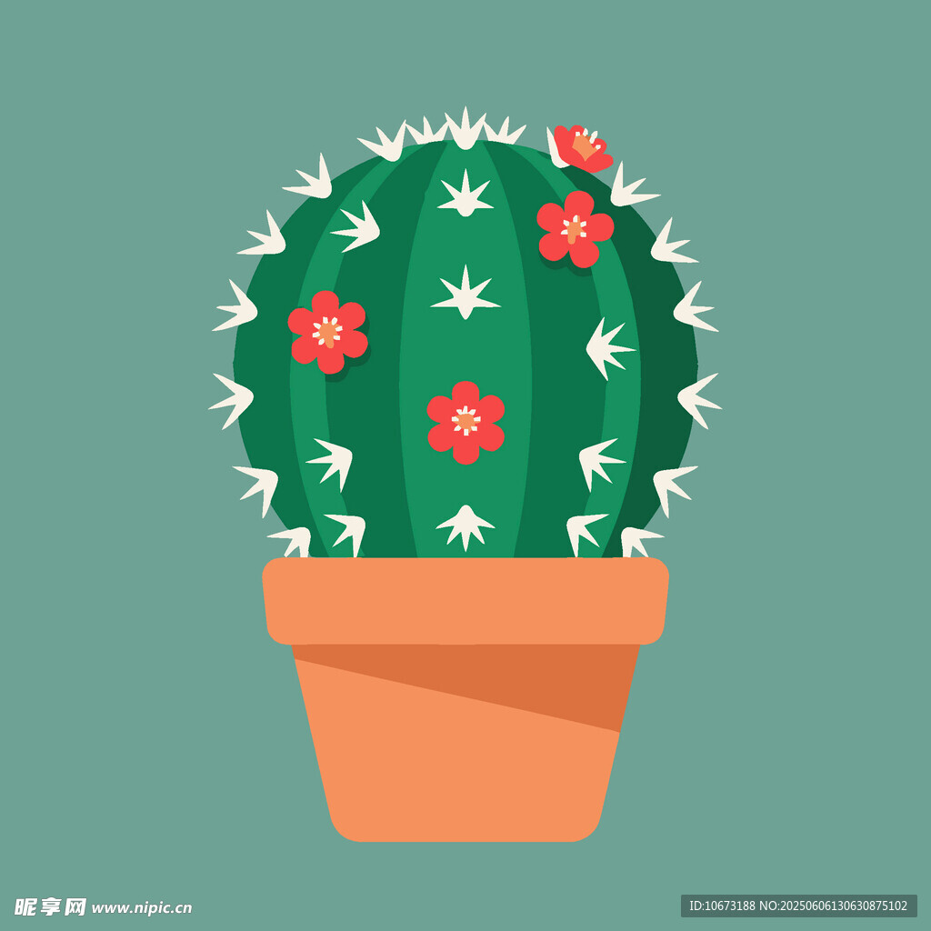 盆栽仙人掌 綻放小紅花