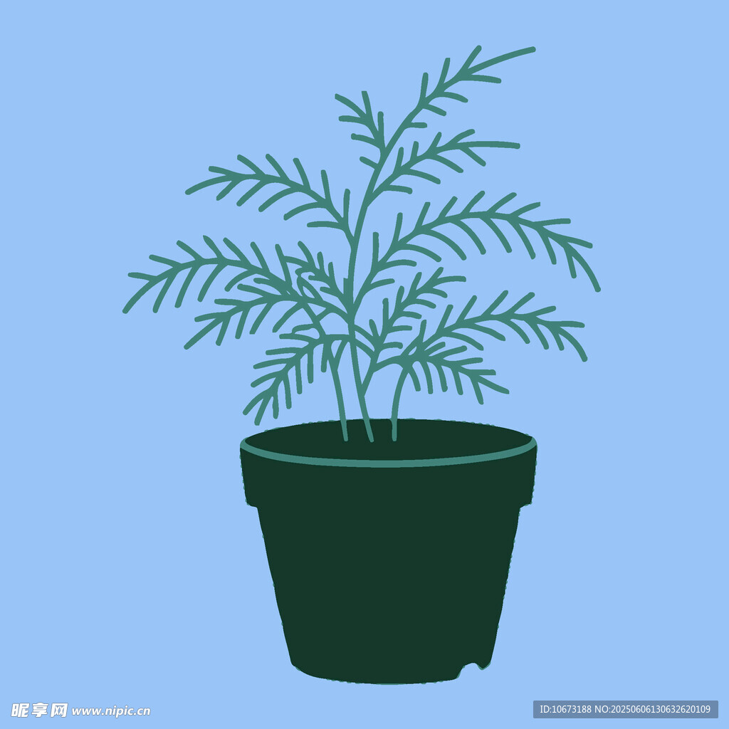 盆栽綠植 清新室內小植物