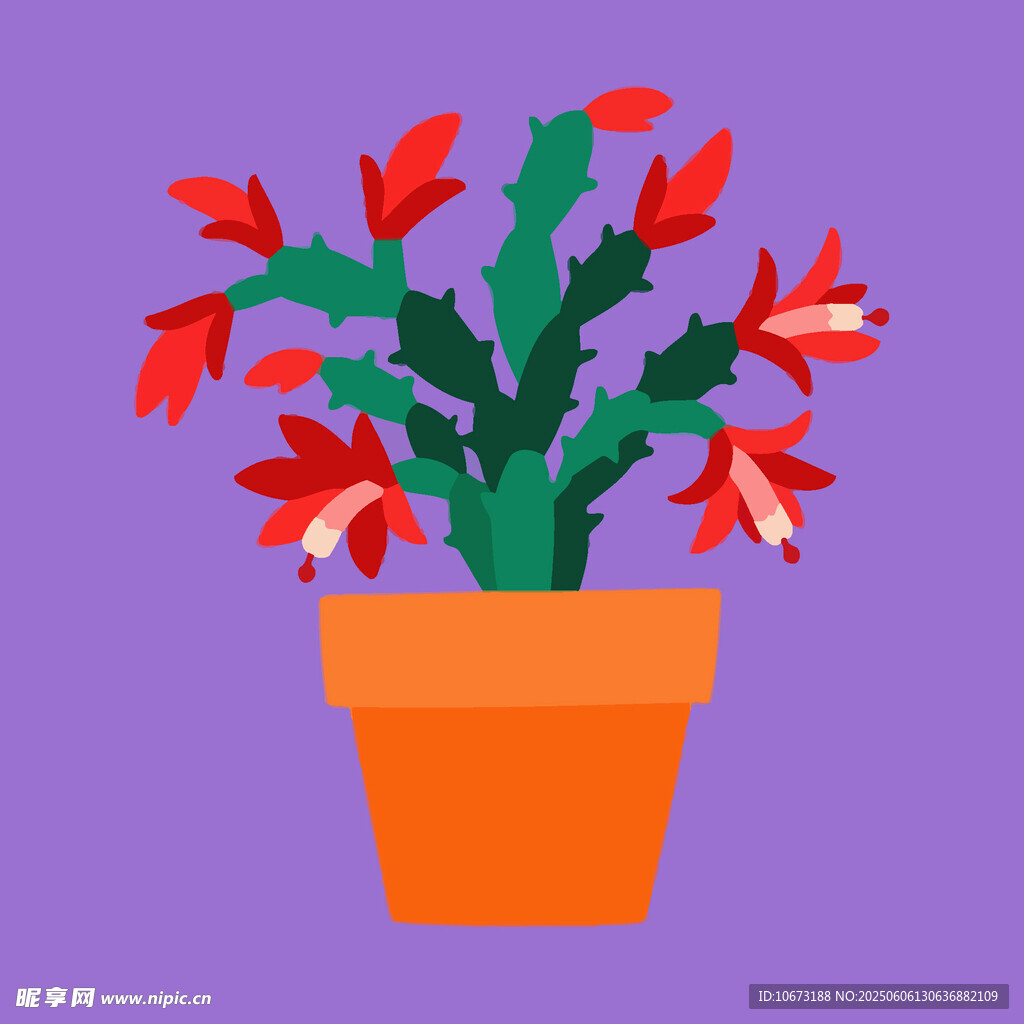 橙色花盆中的紅色蟹爪蘭