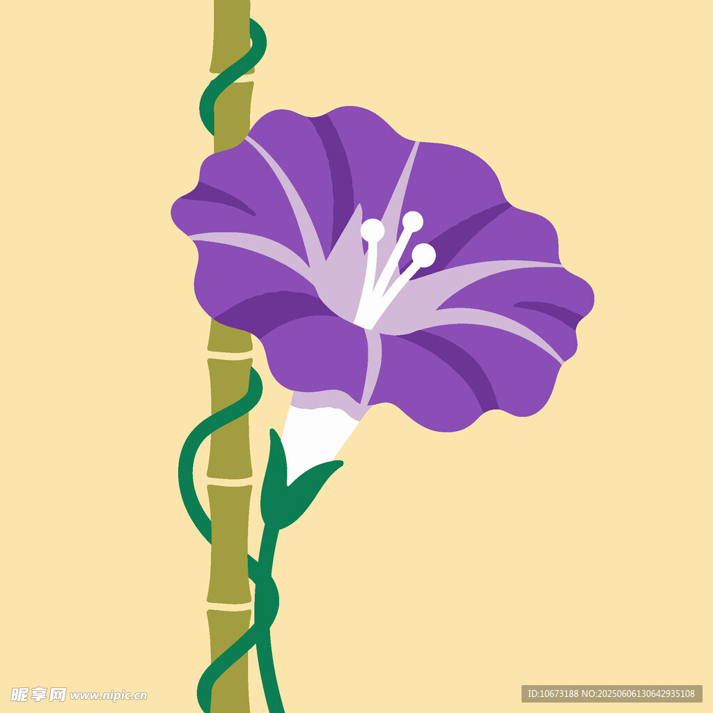 紫色牽牛花纏繞在桿上