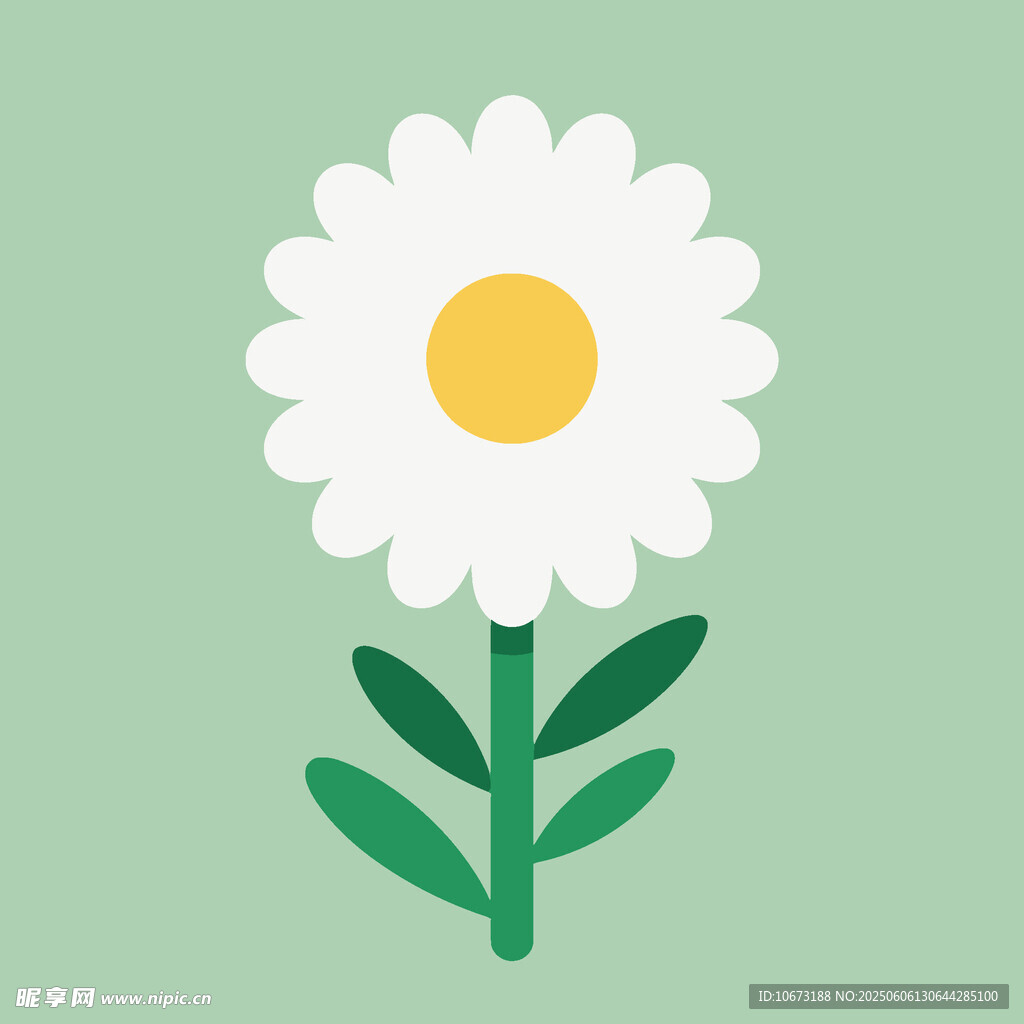 簡約白色雛菊插畫