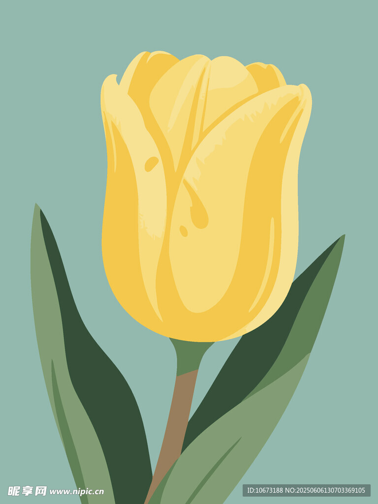 黃色郁金香插畫