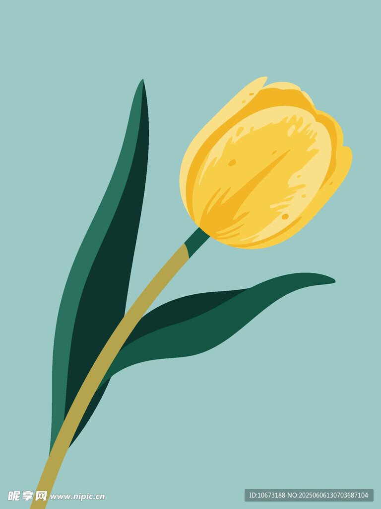 黃色郁金香插畫