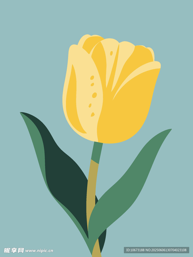 黃色郁金香插畫