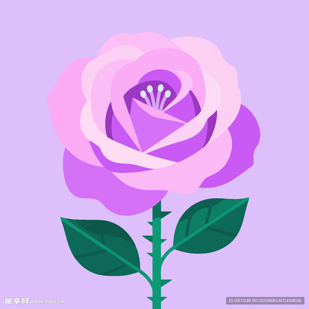 淡紫色玫瑰花插畫