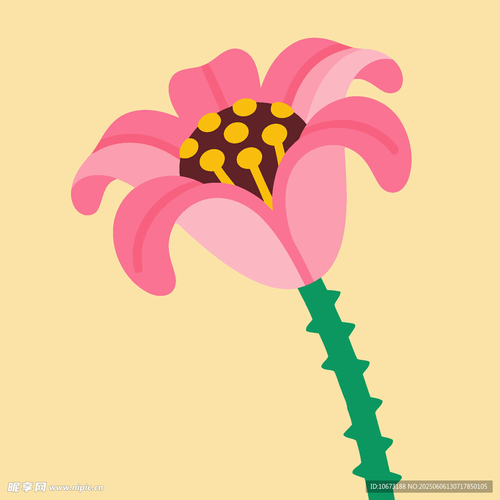 粉色花朵插畫