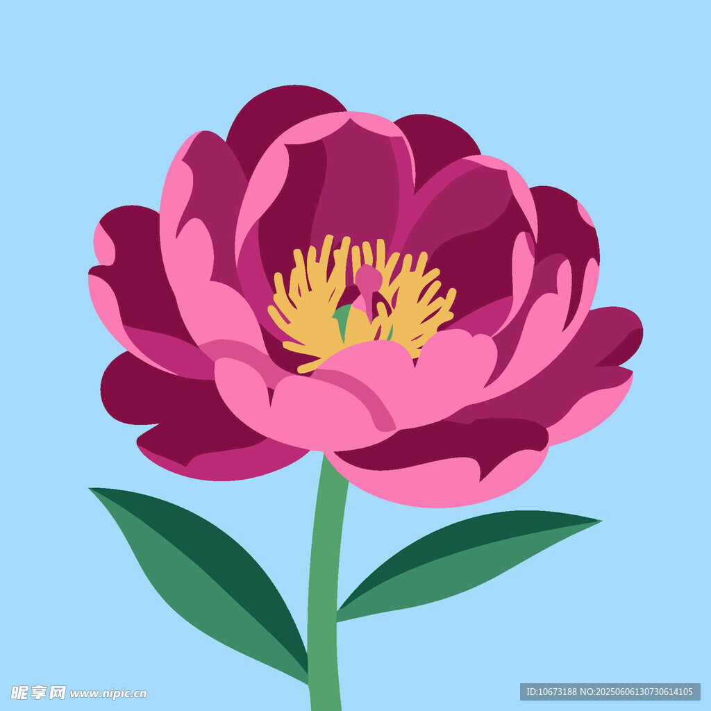 艷麗粉色牡丹花插畫