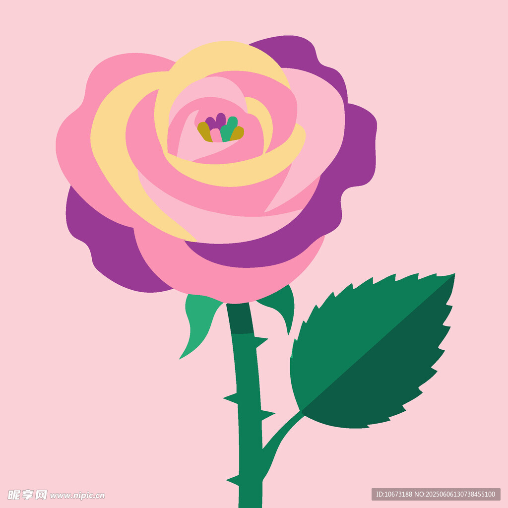 粉色漸變玫瑰插畫