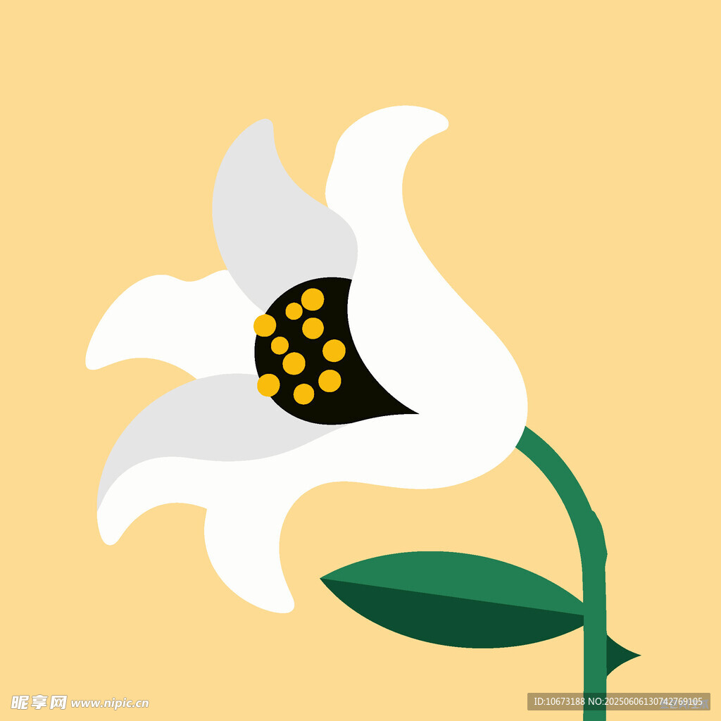 簡約風格白色花朵插畫