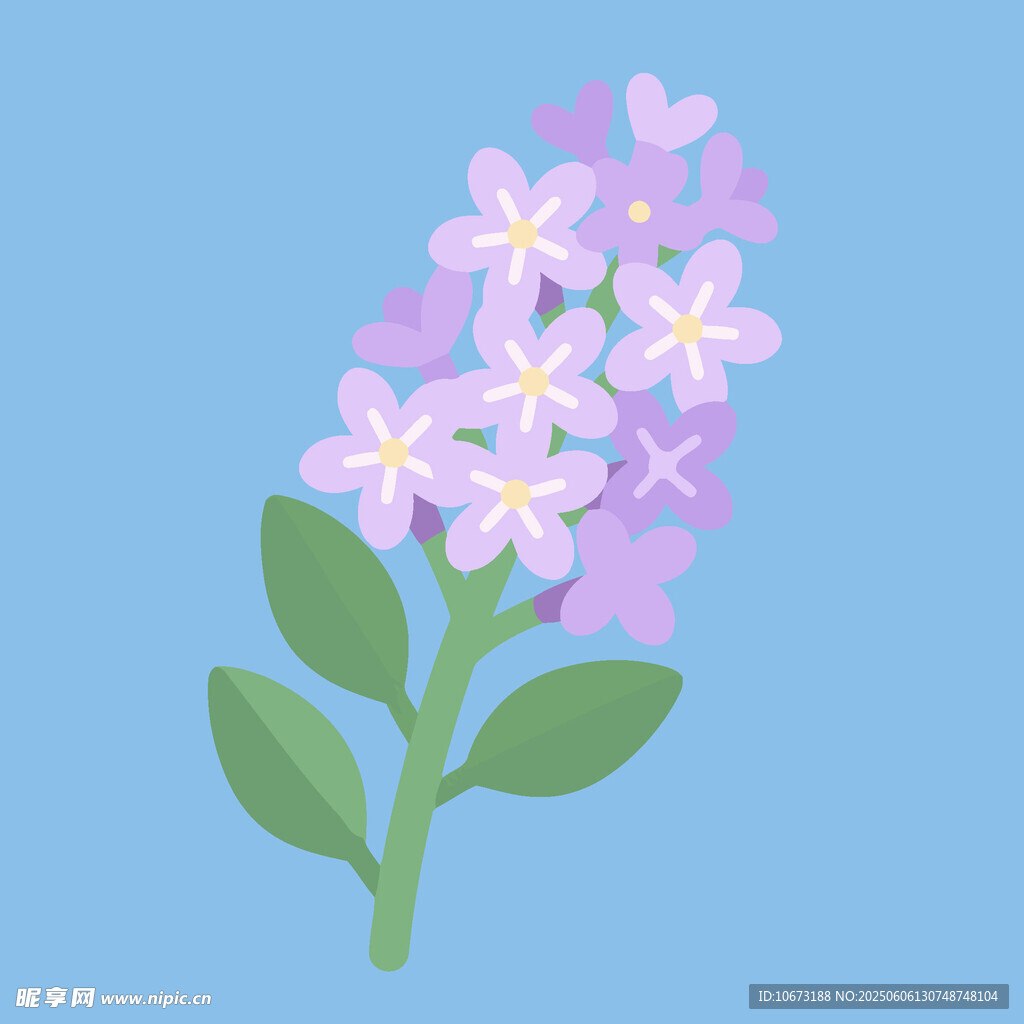 淡紫色花朵插畫