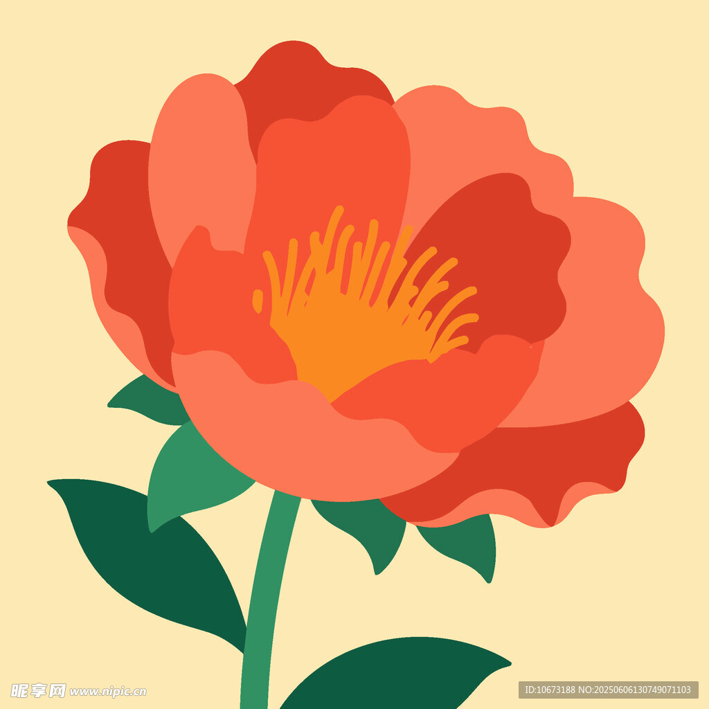 鮮艷綻放的紅色花朵