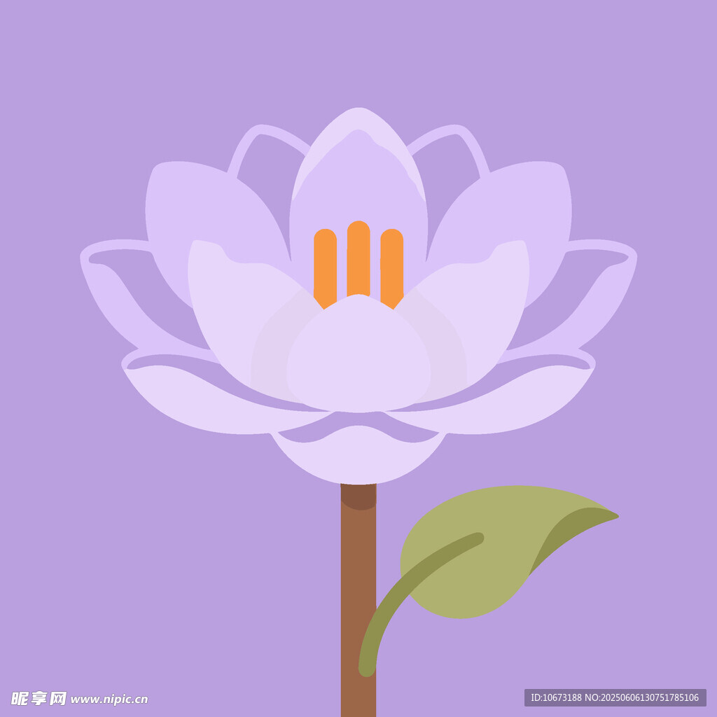 紫色蓮花插畫