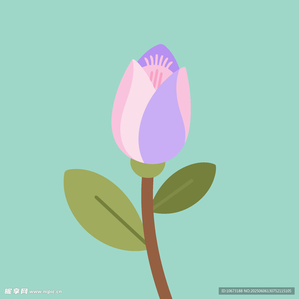 粉色紫色花朵插畫