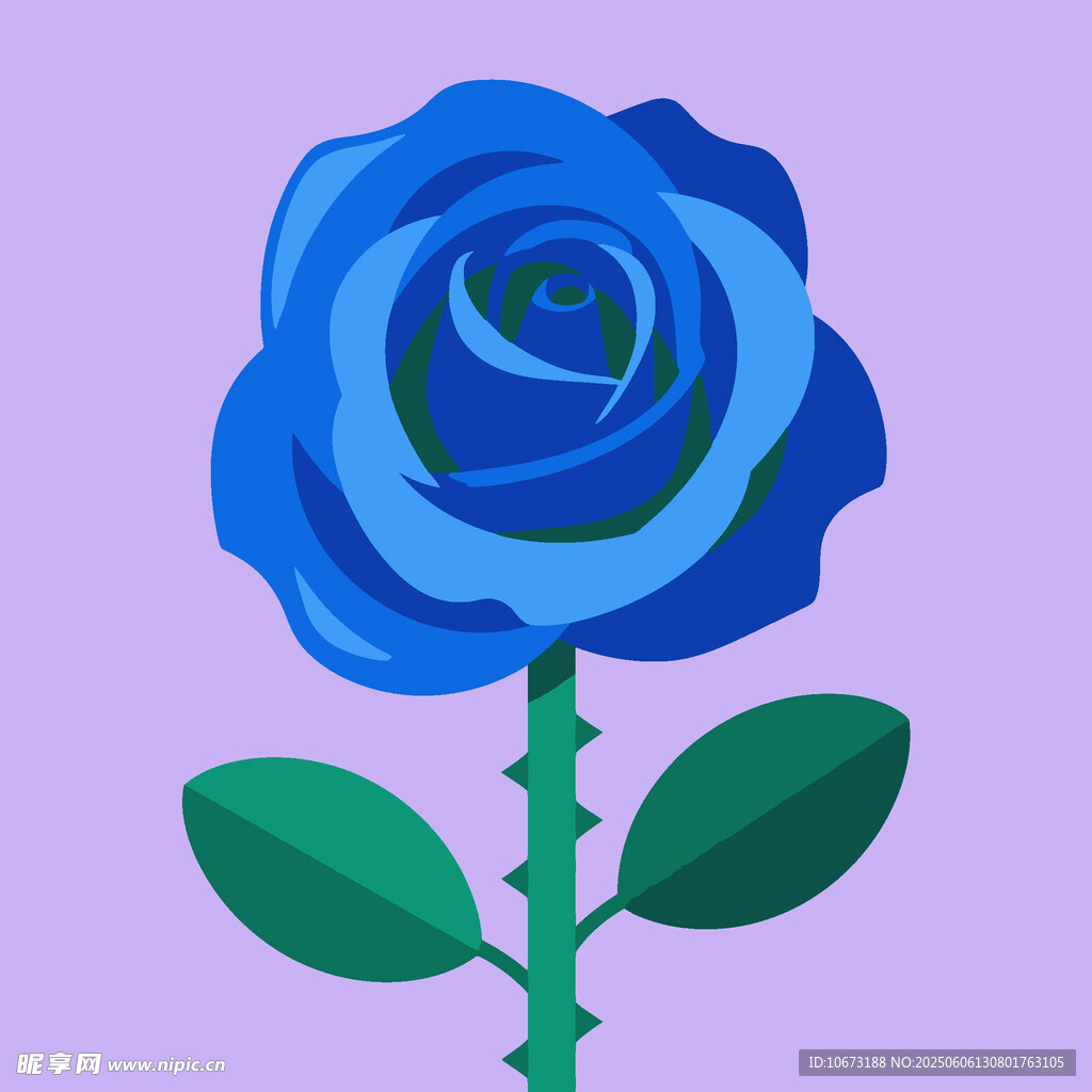 藍色玫瑰插畫