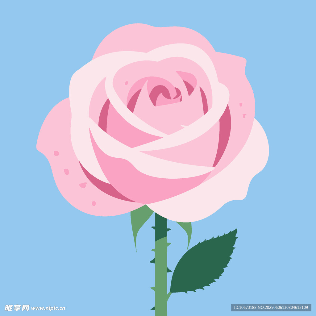 粉色玫瑰插畫