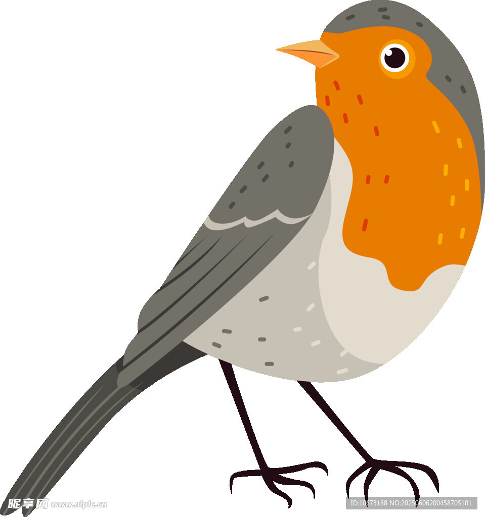 可愛知更鳥插畫