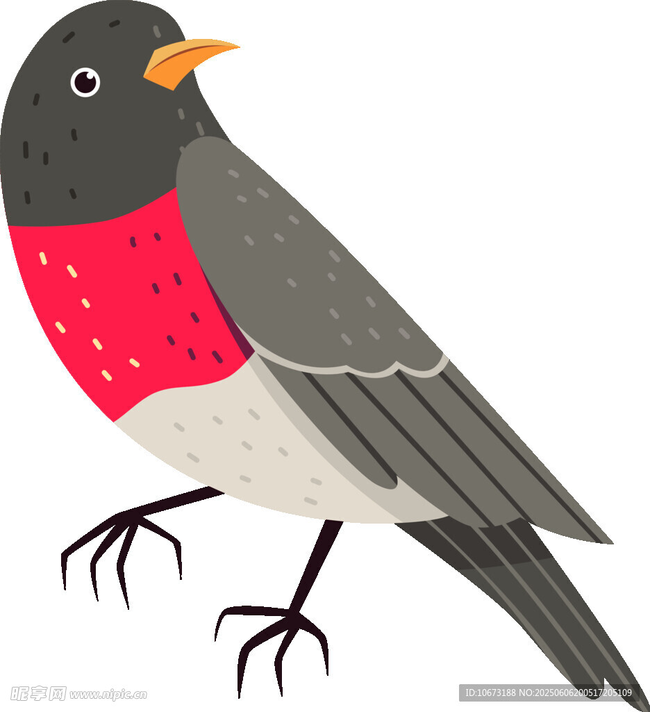 卡通紅胸鳥(niǎo)插畫(huà)