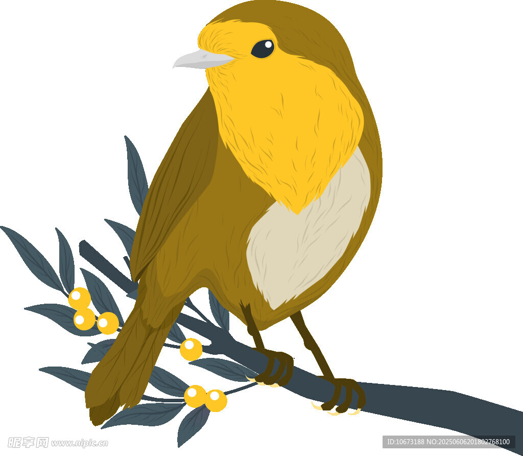 枝頭黃鳥插畫
