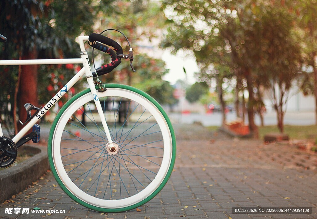 復古單車?？吭诹质a小道
