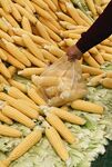 手抓新鮮玉米棒