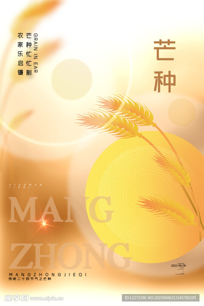 芒種時(shí)節(jié)金黃麥穗景象