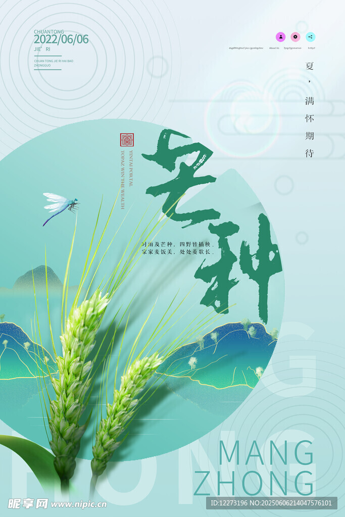 芒種時節麥穗圖