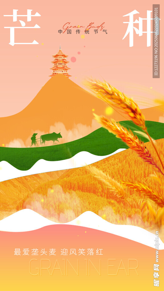 芒種時節田園風光