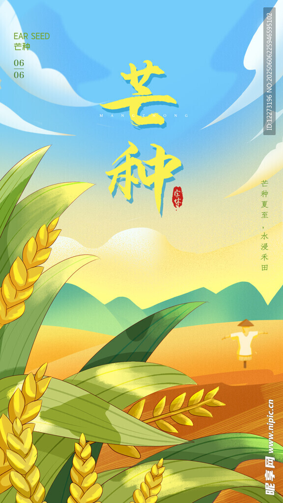 芒種時節麥田風光