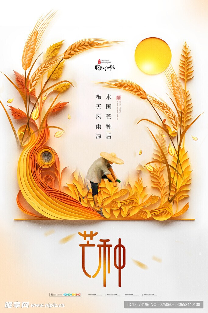 芒種時(shí)節(jié)麥田豐收景象