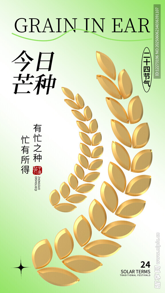 今日芒種麥穗圖