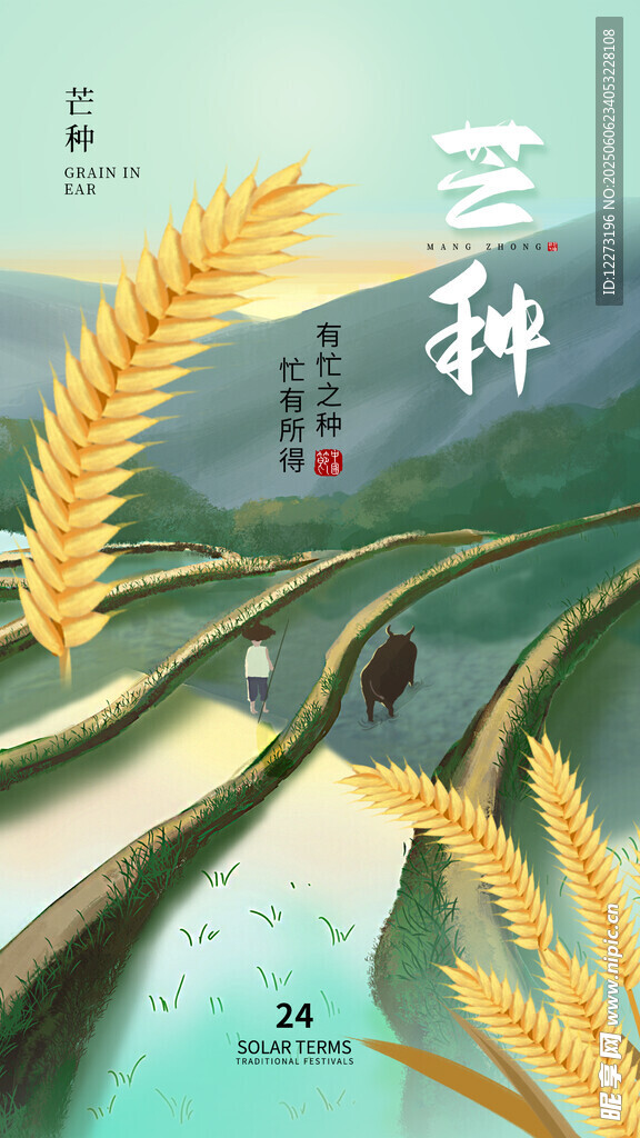 芒種時節田園風光圖