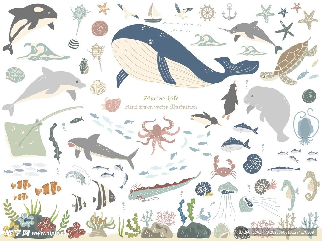 海洋生物插畫集合
