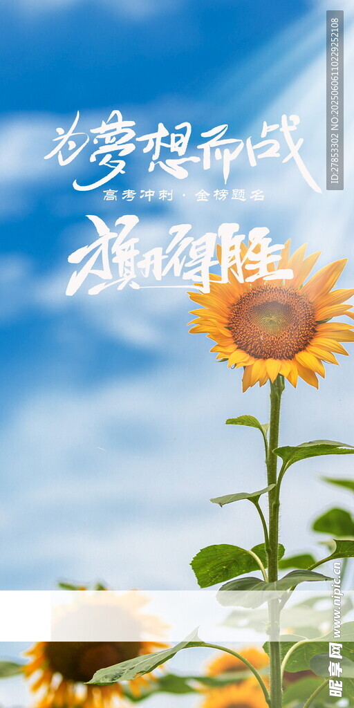 夢想啟航向陽而生
