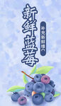 新鮮藍莓 飽滿多汁誘人