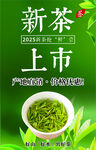 新茶上市