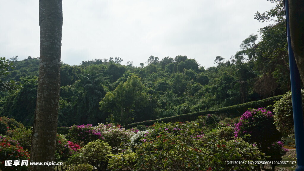 美麗花園景觀