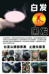 白發(fā)養(yǎng)黑發(fā)