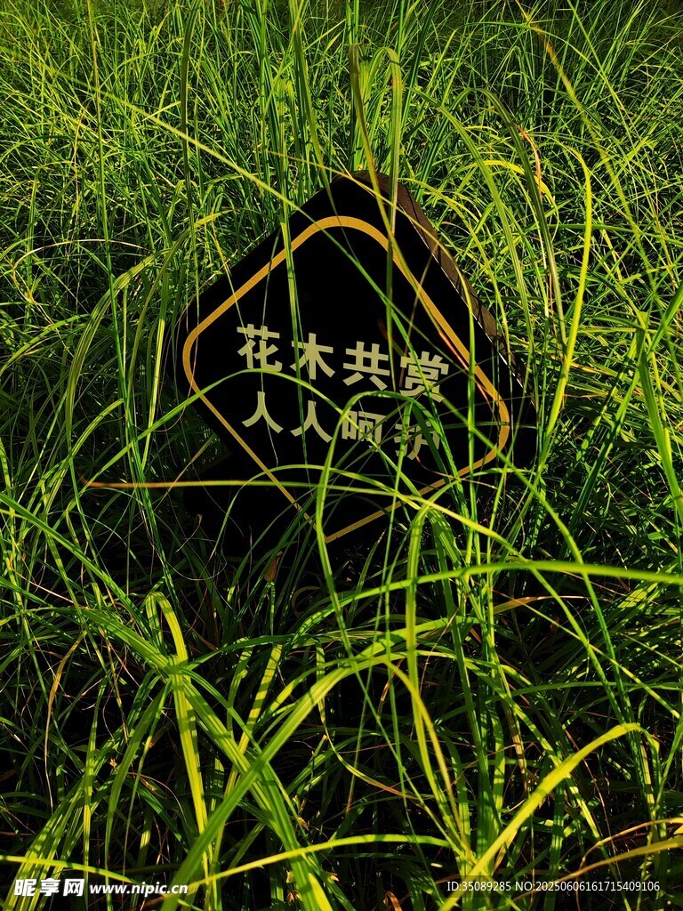 草叢中的花草牌
