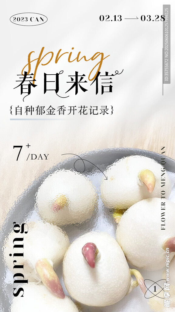 春日來信海報