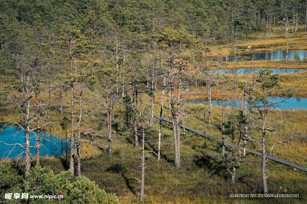 林間藍(lán)湖美景