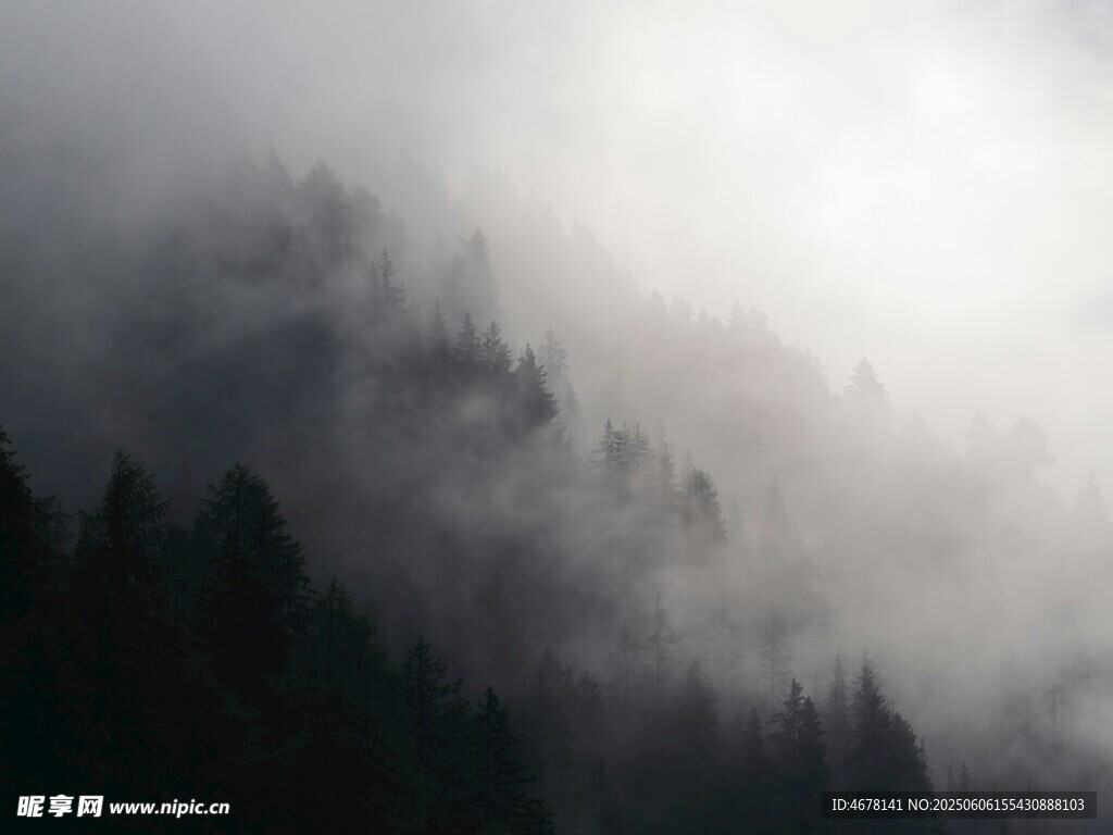 云霧繚繞的山林美景