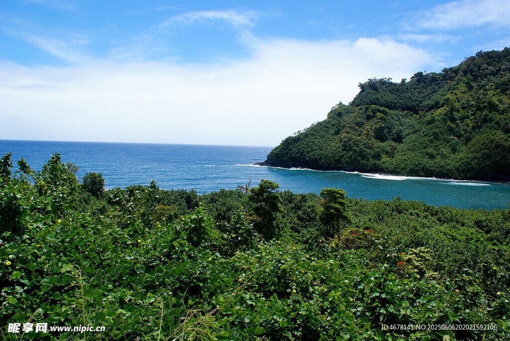 海邊蔥郁植被與蔚藍海景