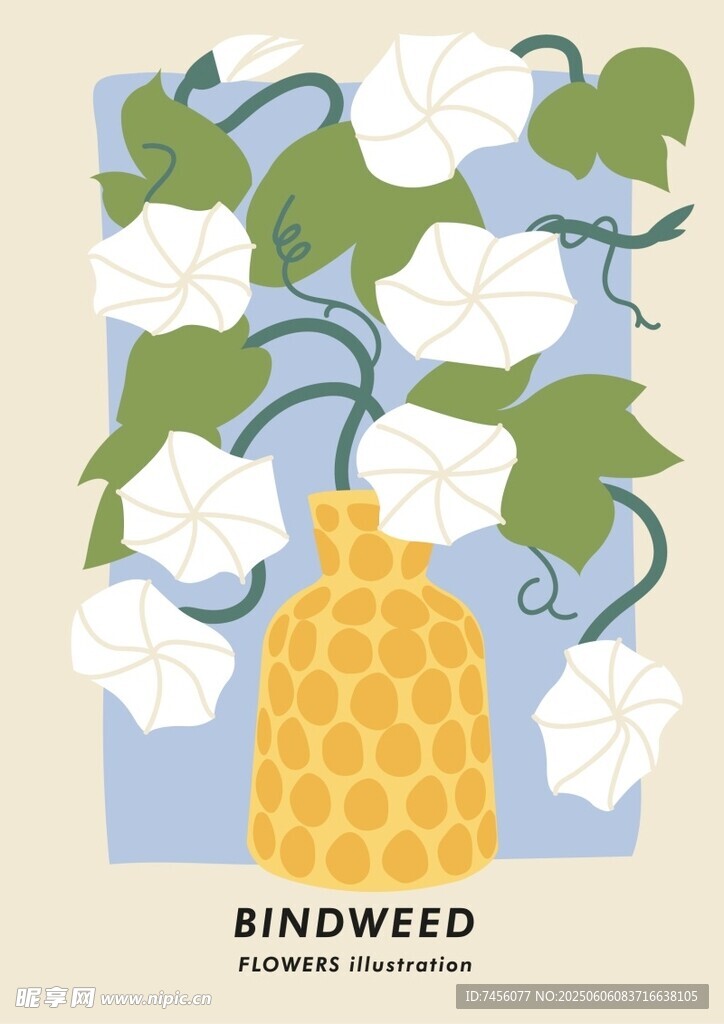 花瓶插著白花的清新插畫
