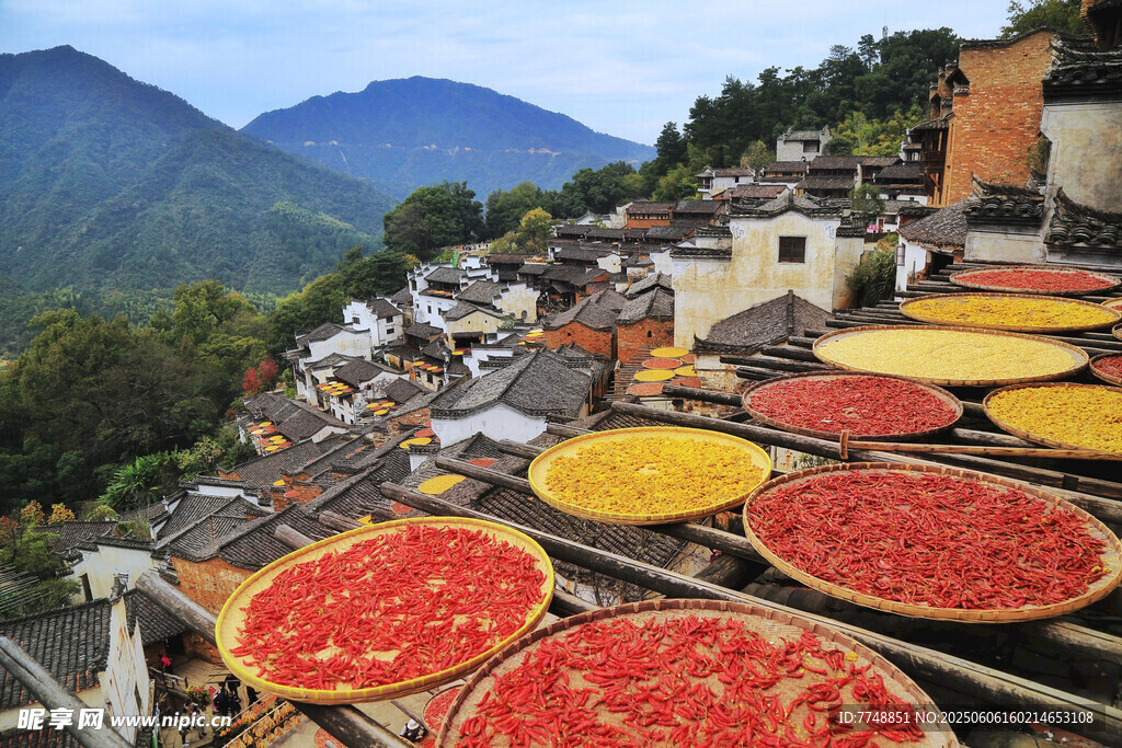 山村曬秋美景