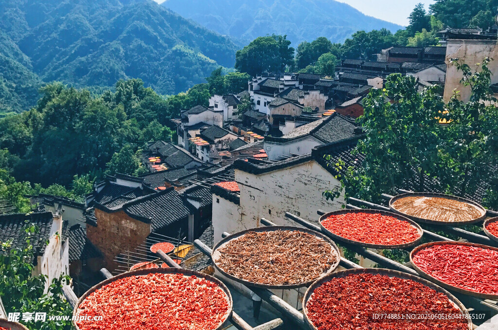 山村曬秋美景