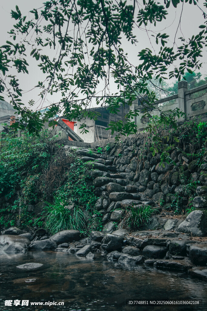 溪邊石墻旁的綠意景致