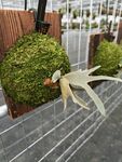金屬旁的綠植與藝術擺件