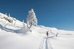 雪地徒步者與銀裝素裹山林