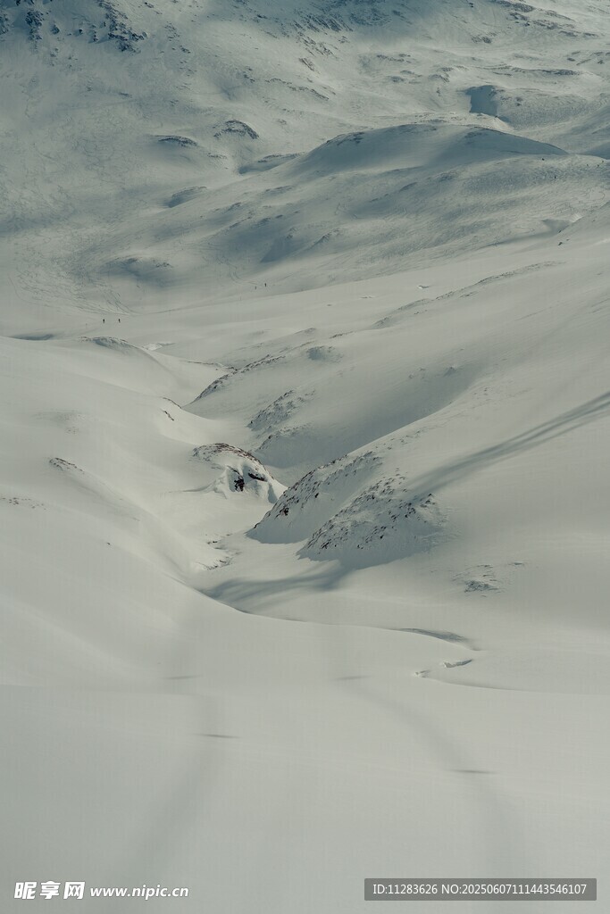 廣袤雪地中的起伏地貌